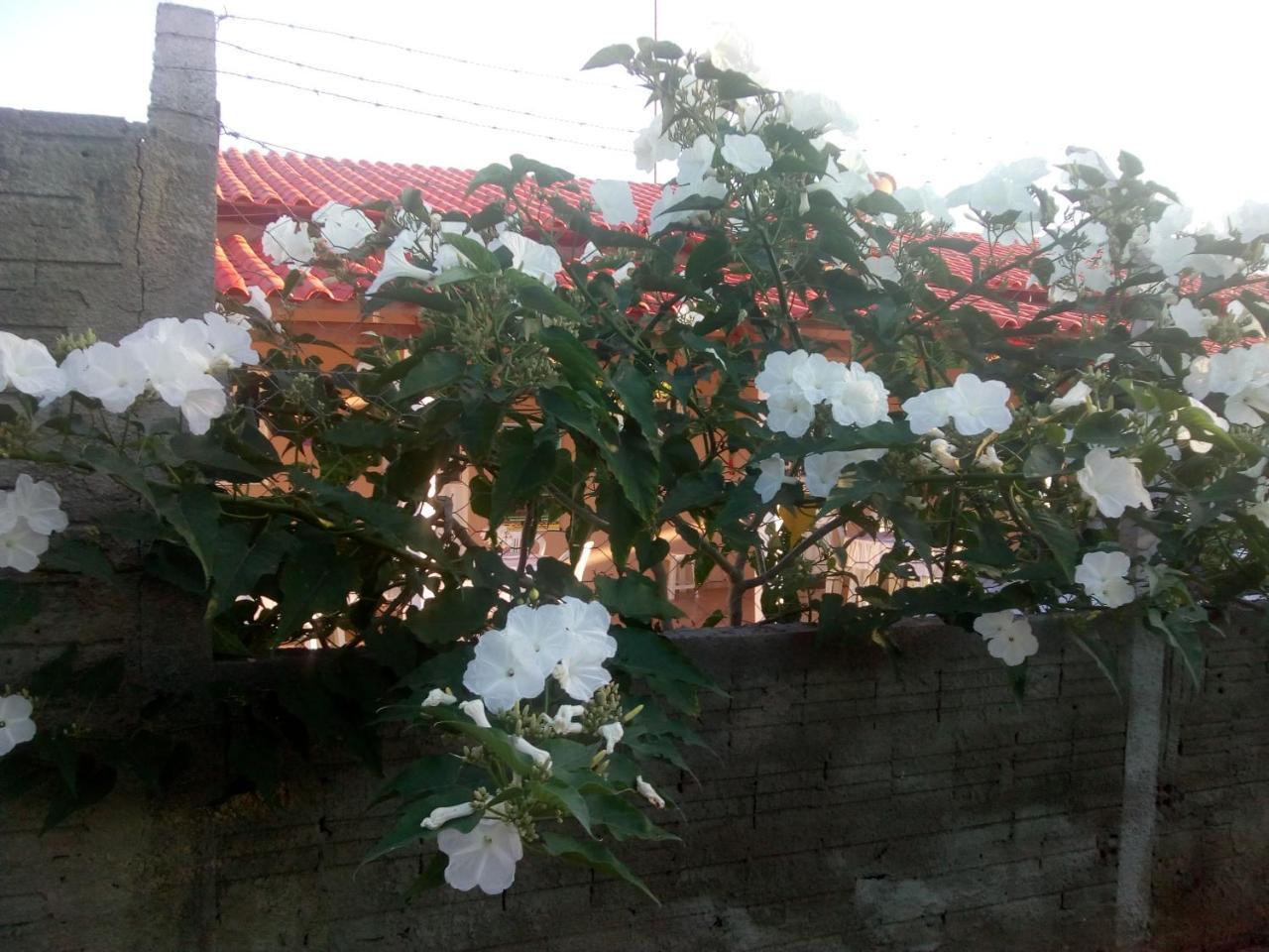 Rest. E Pousada Fabiao II Itacarambi 外观 照片